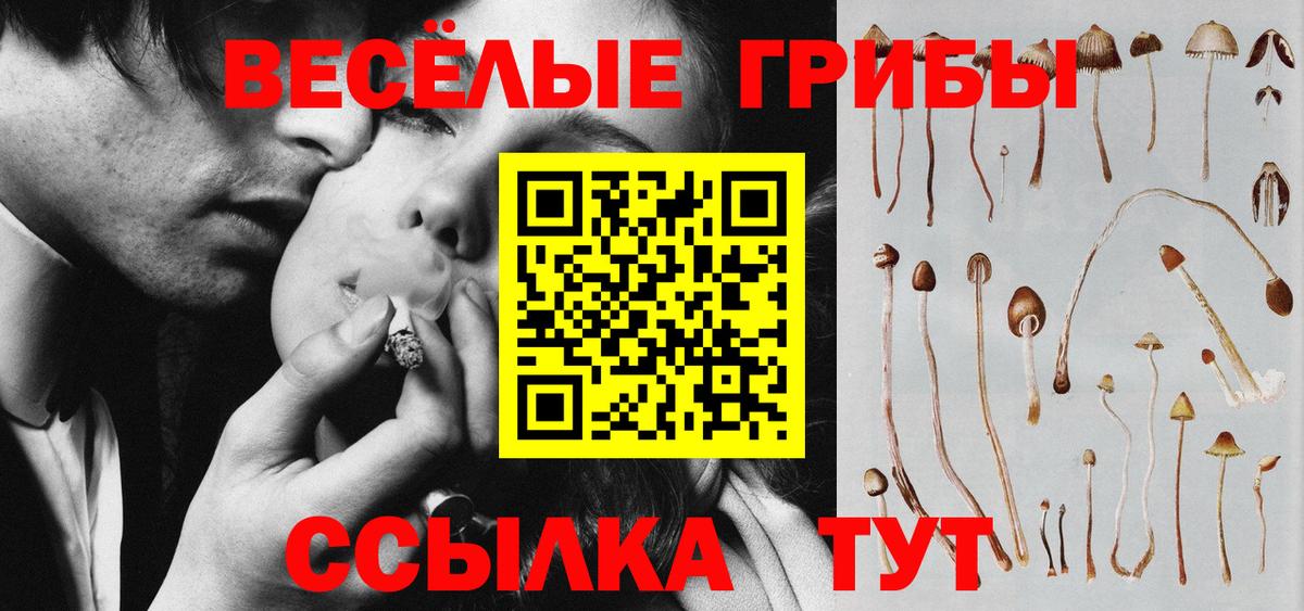 Железноводск  Псилоцибиновые грибы GOLDEN TEACHER  Вход с VPN 